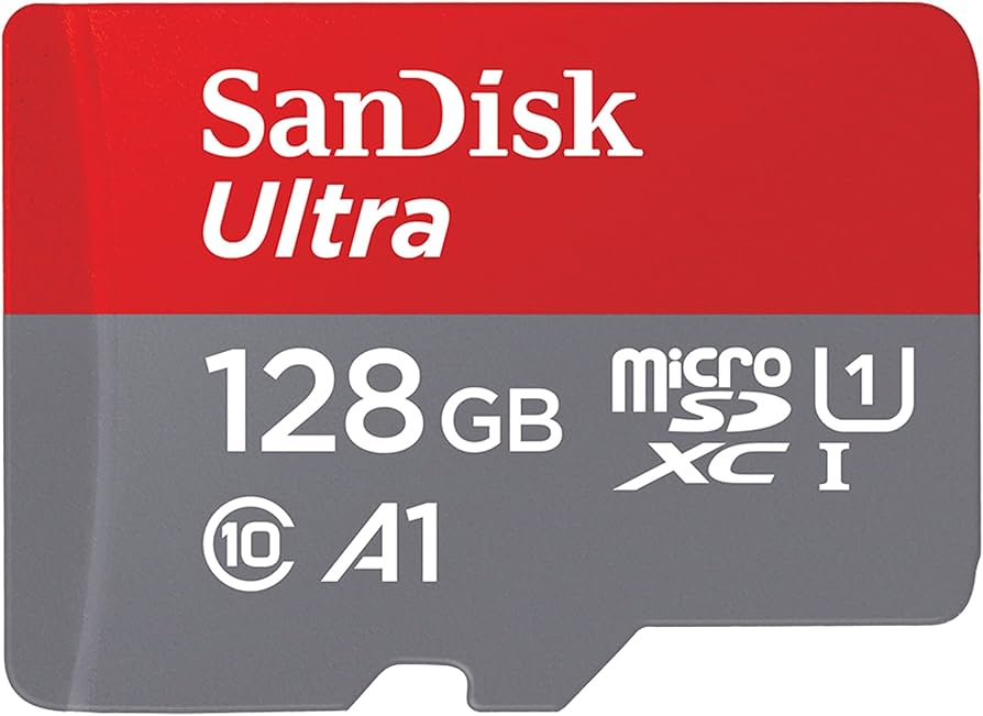 128GB SanDisk Micro SD Card