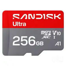 256GB SanDisk Micro SD Card